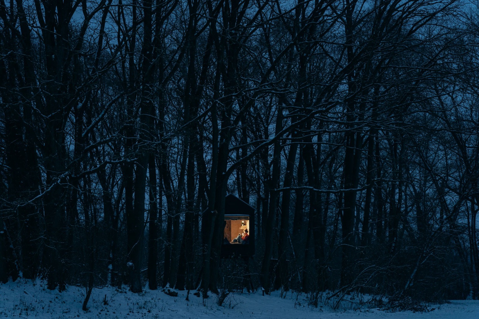 KeepCalm Treehouse – ubytování