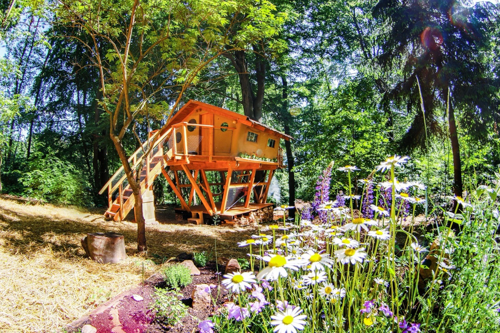 Treehouse Zvičina – ubytování