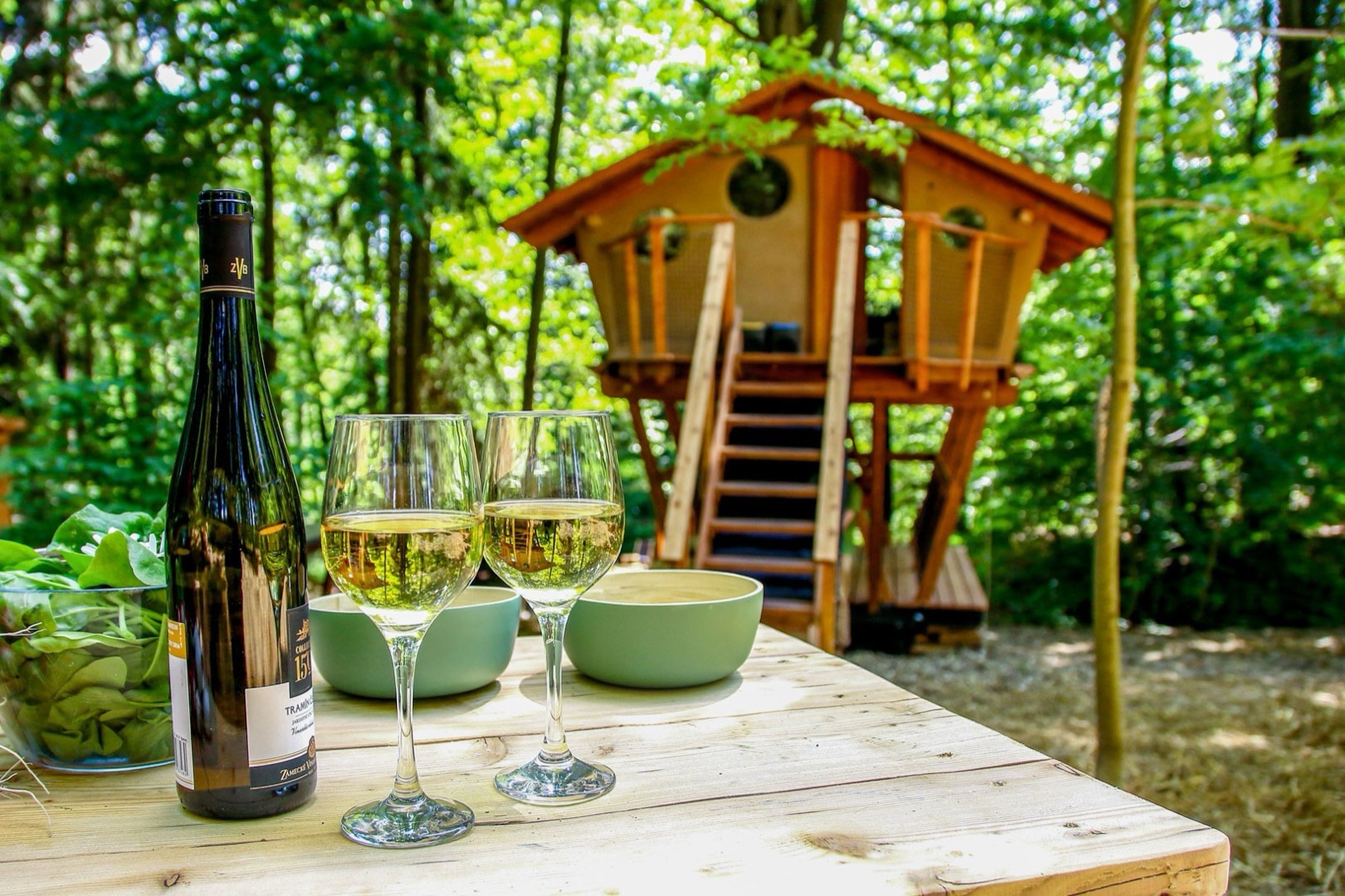 Treehouse Zvičina – ubytování