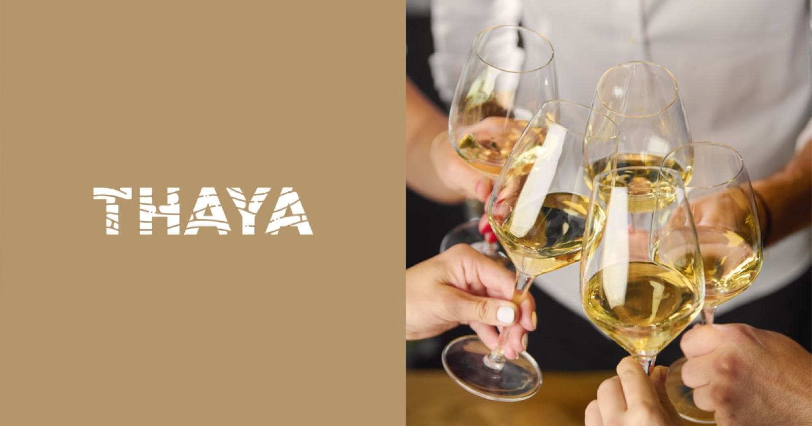 Hotel Thaya – ubytování