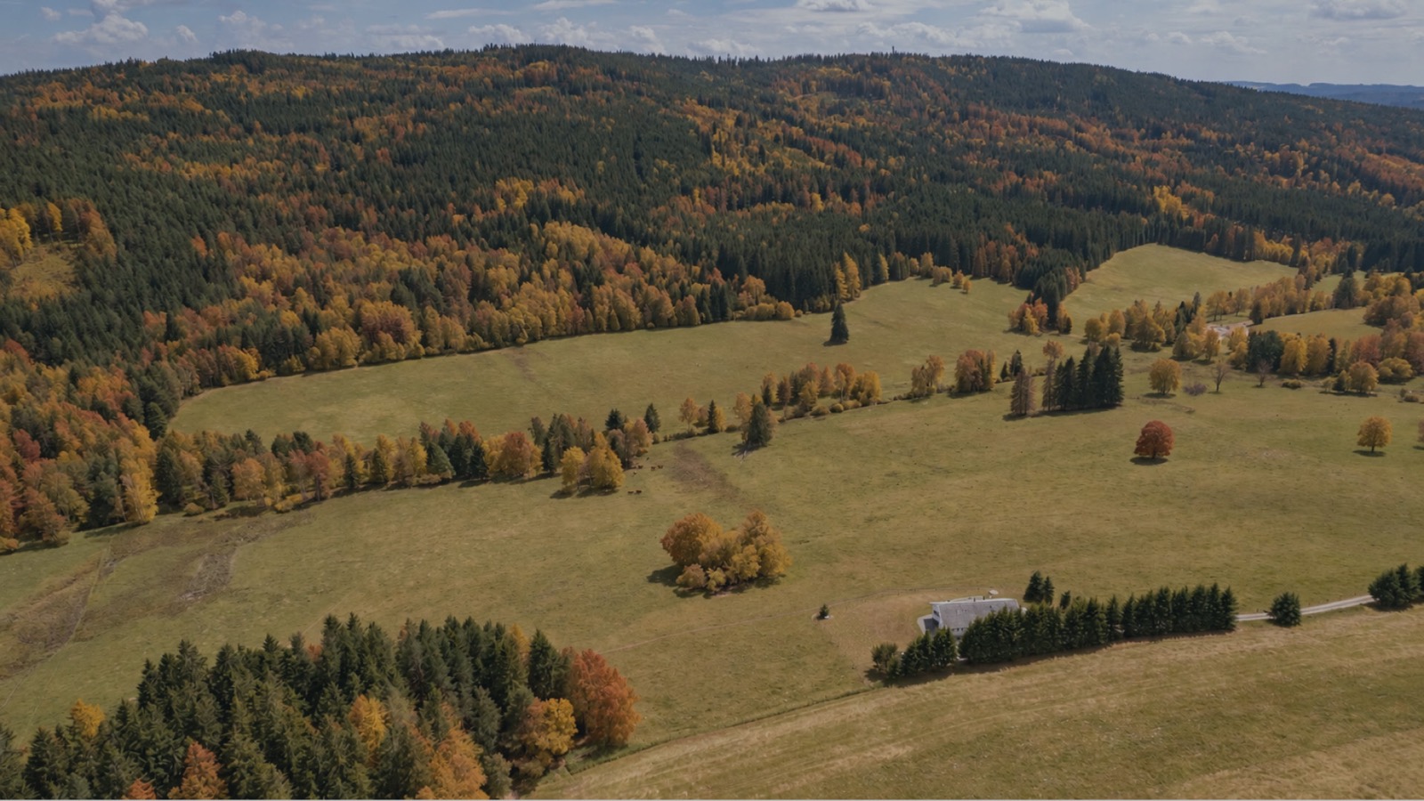 Amenity Bílý dům – ubytování