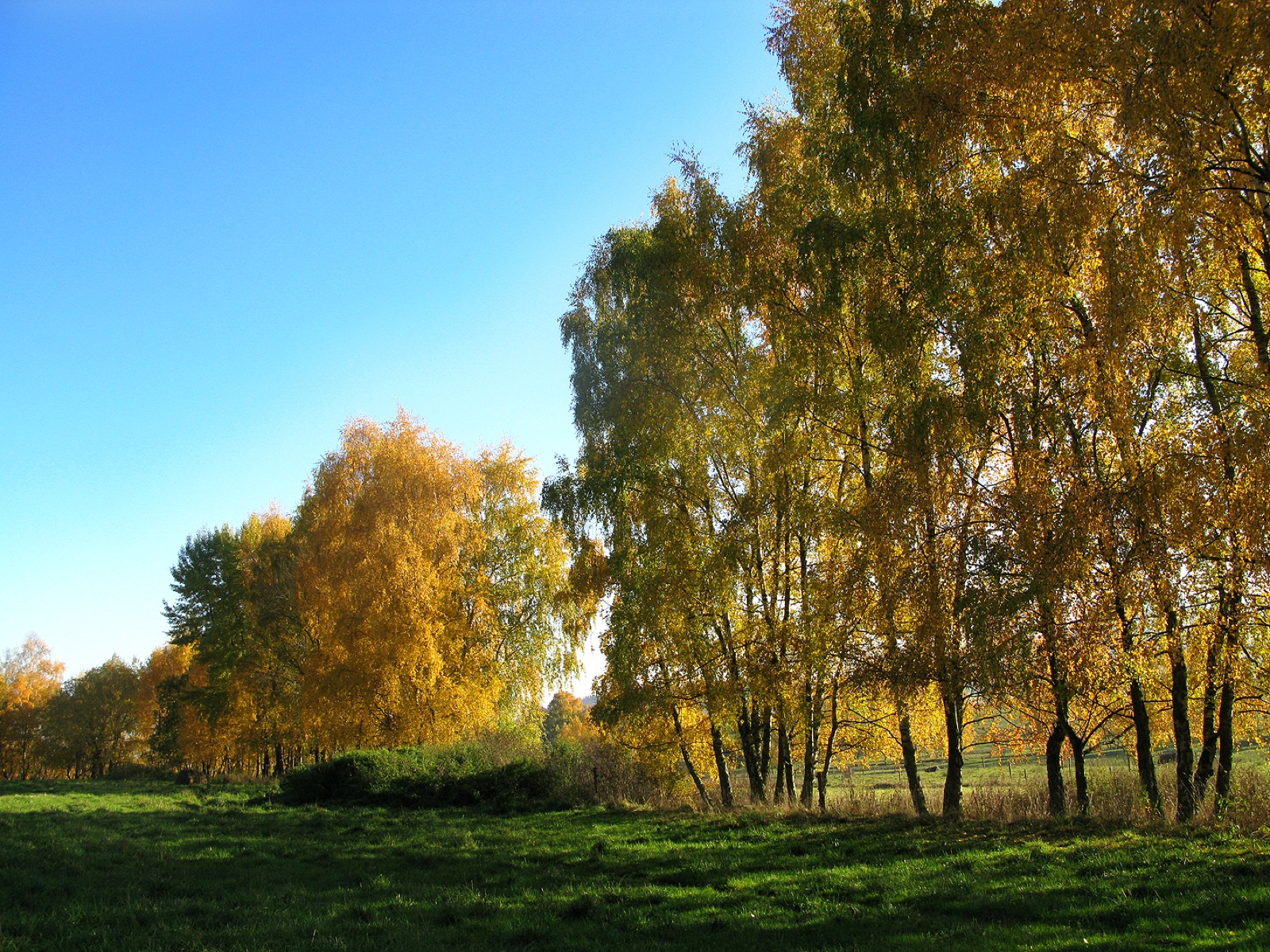 Krakovice – ubytování