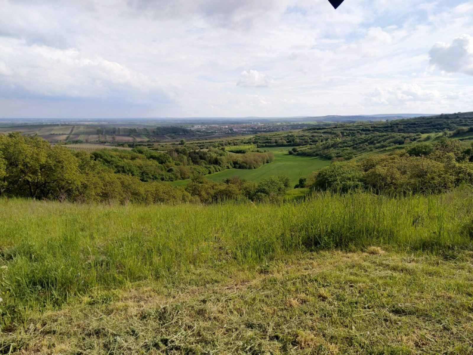 Pozorovna Na špalku – ubytování