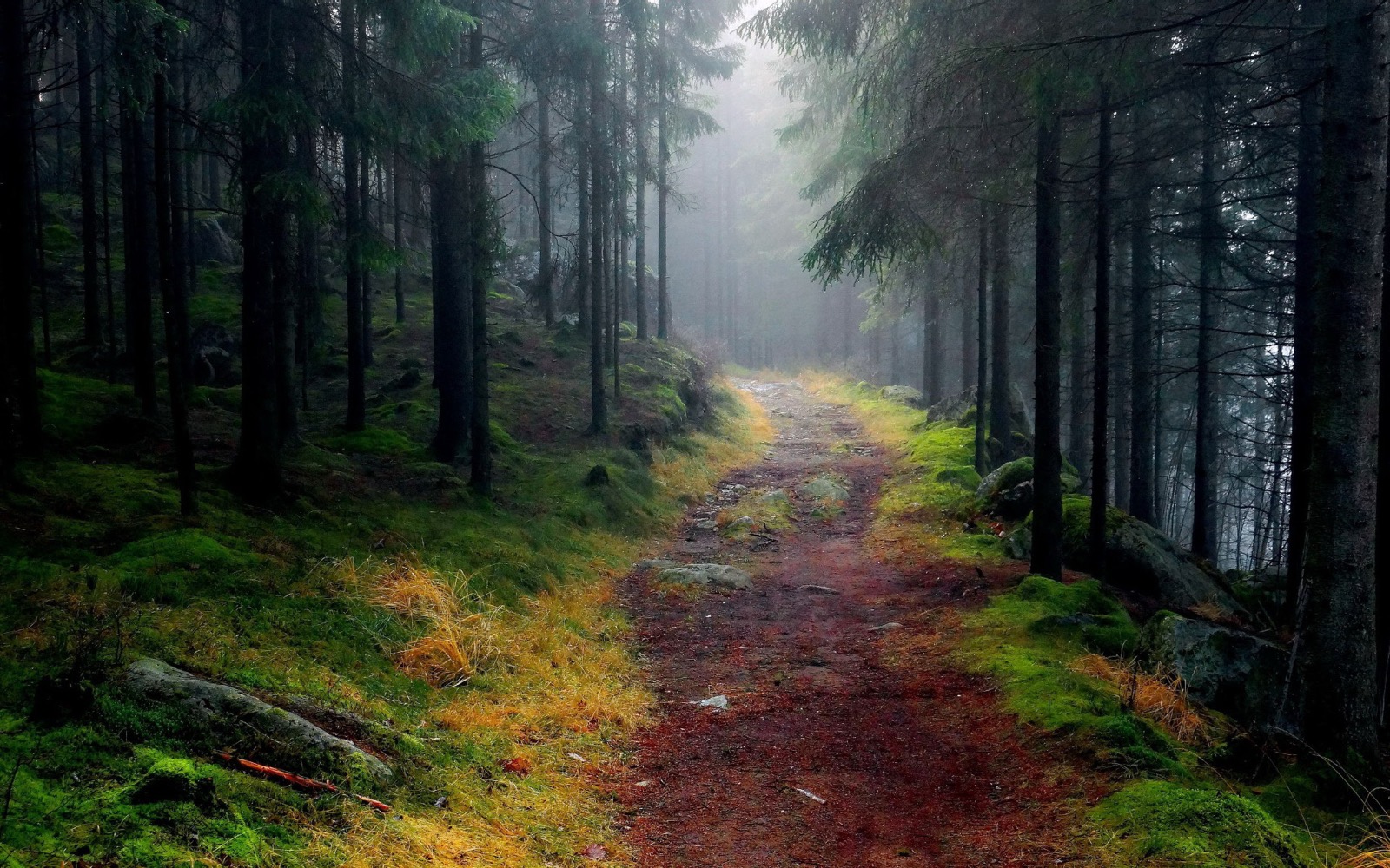 WANDR wood and relax Chata u Černé kočky – ubytování