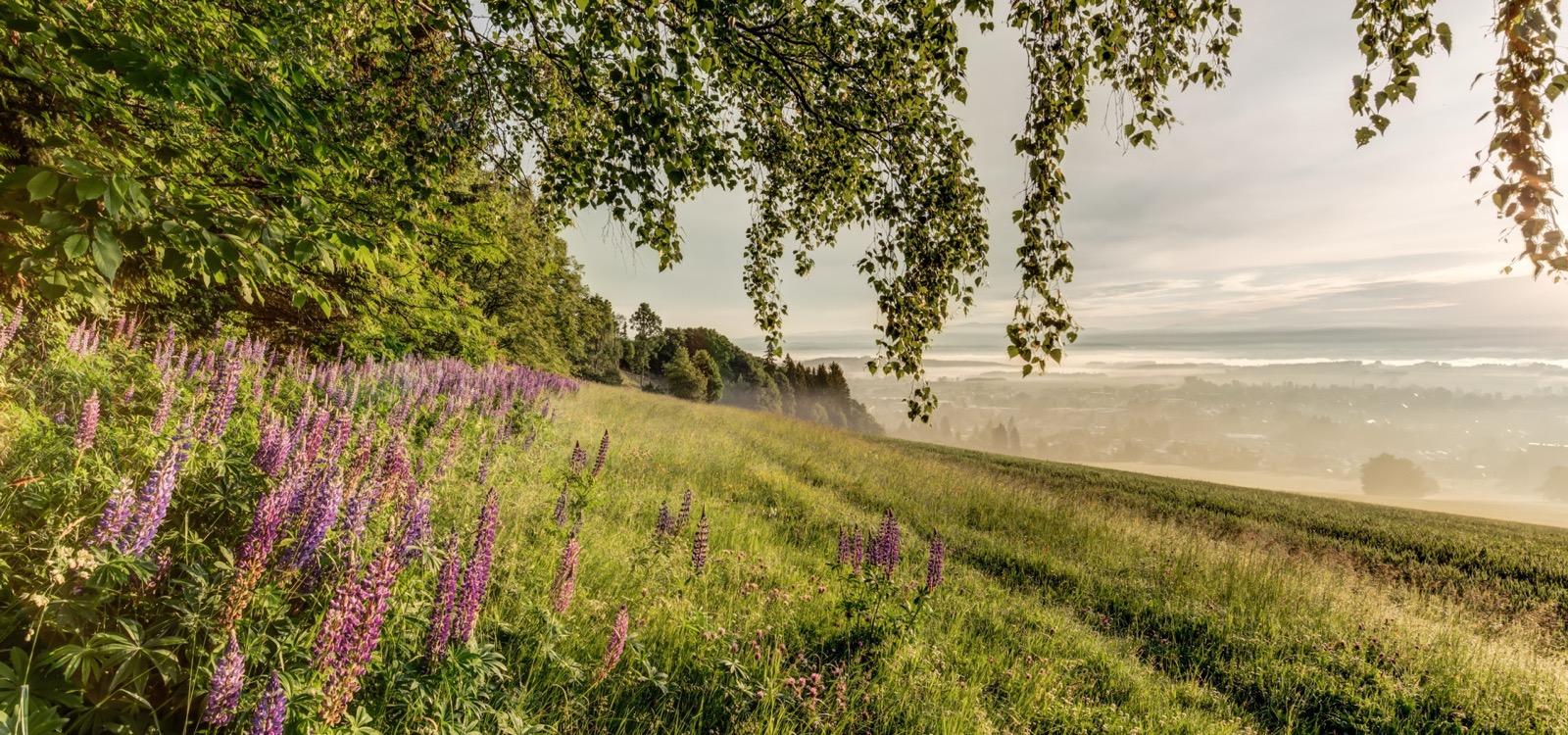 Biokolna Suites & Spa – ubytování