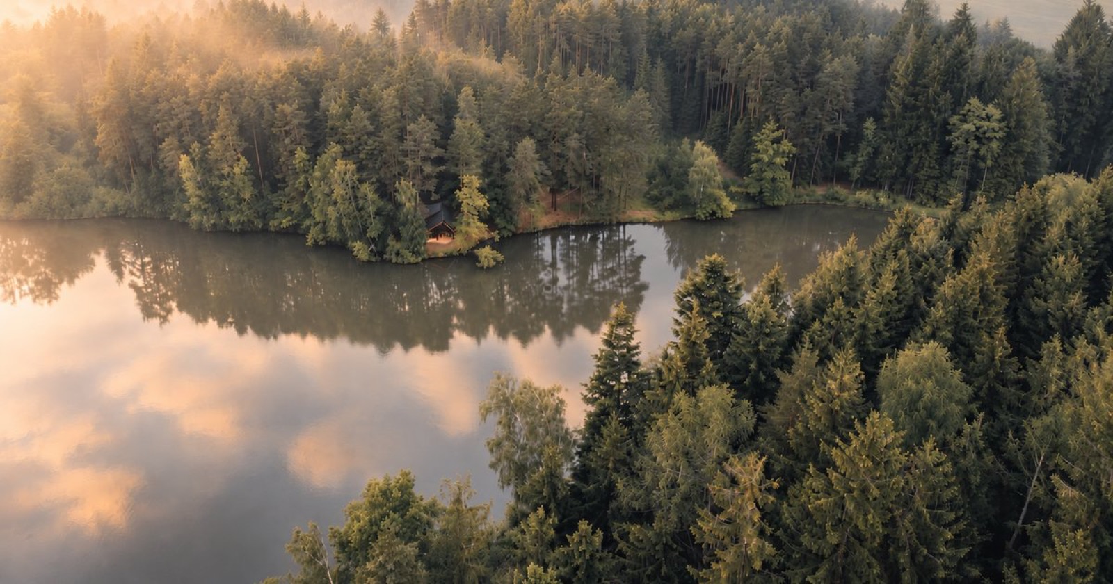 Chata v lese – ubytování