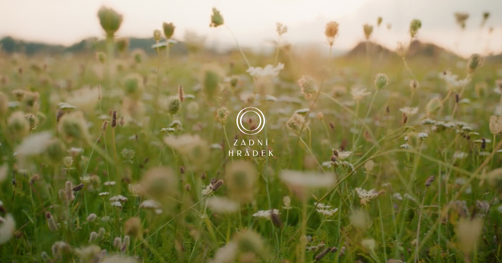 Zadní Hrádek – ubytování