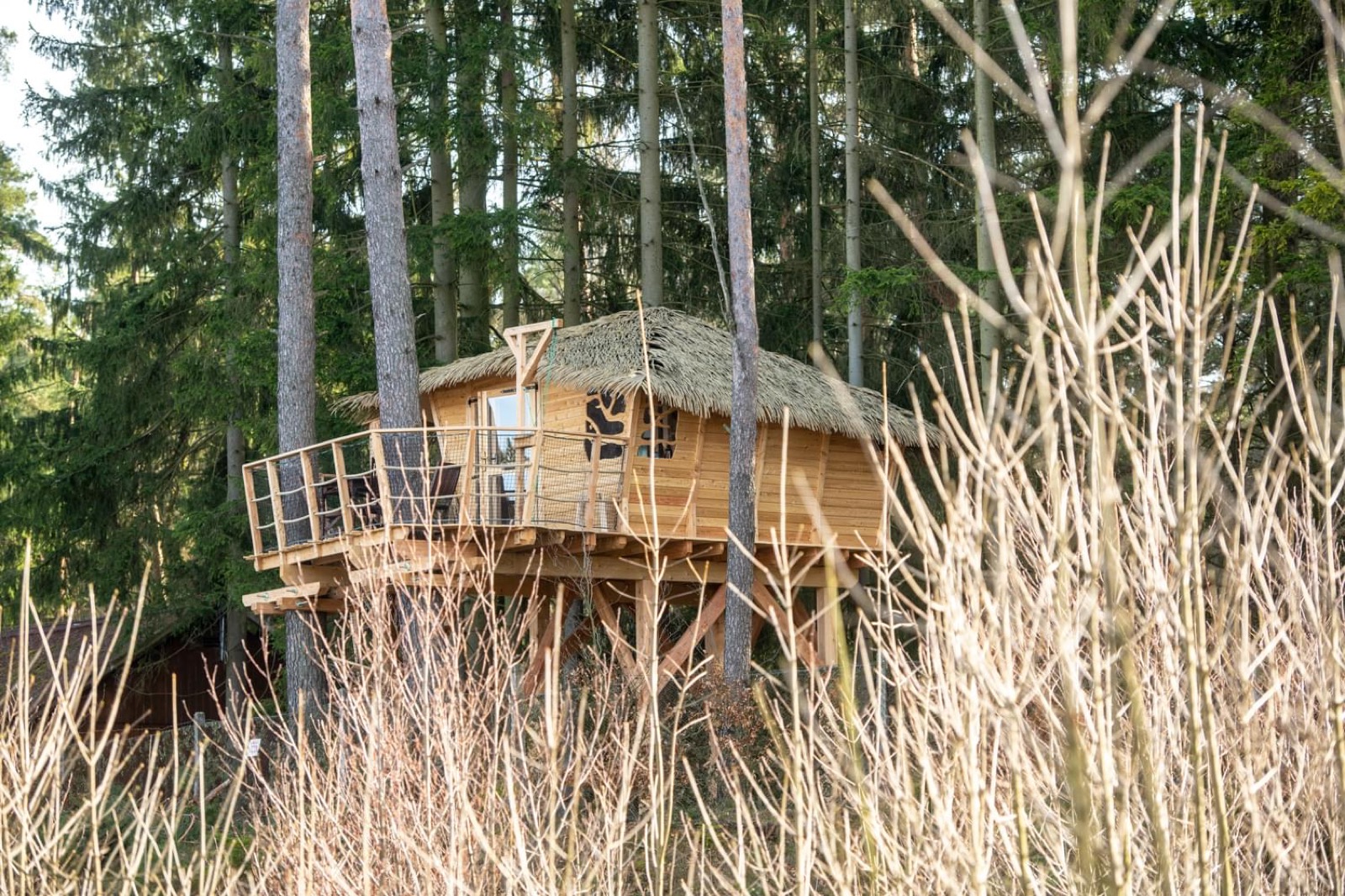 Treehouse Resort Ralsko – ubytování